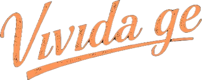 Vivida.ge Logo